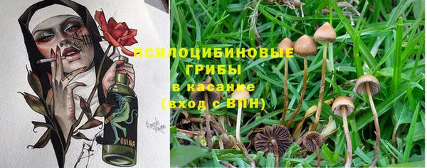 каннабис Лабытнанги