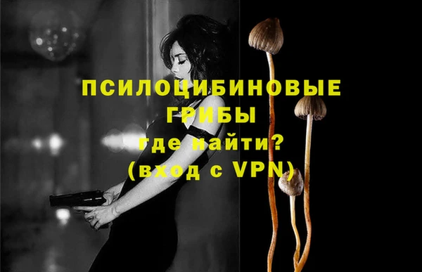 PSILOCYBIN Лиски