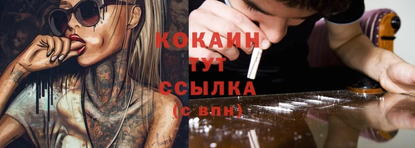 PSILOCYBIN Лиски